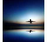 Professional air cargo transportation services to New zeland