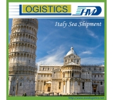 Sea bulk cargo from Shenzhen to Italy DDP/DDU