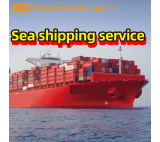 Sea from China to Philippine Manila customs clearance and send door to door service DDP