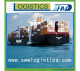 Sea shipment DDP from Shenzhen to Kingston