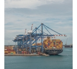 Sea shipping rate from China to MANZANILLO Dominica