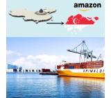 Agentów wysyłkowych w Shenzhen Ocean Freight Amazon Singapur Spedytora