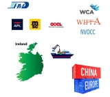 Shipping Companies China Warehouse Sea Freight from China to Dublin of Ireland