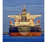 Sea freight forwarder shipping from china to dubai