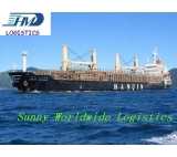 China freight forwarder LCL sea shipping service to Lattakia