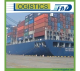 DDU/DDP sea freight from Shenzhen to Timaru New Zealand