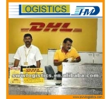 DHL国际快递 从中国到美国纽约