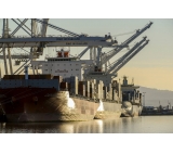 GuangZhou to Amazon Warehouse Sea freight forwarder