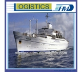 professional xiamen sea freight forwarder shipping to Lithuania