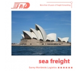 Sea Freight Forcener do Australii Drzwi do drzwi Dostawa Agent wysyłki w Chinach