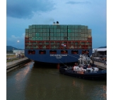 sea freight rate for Shenzhen to Rotterdam Netherlands