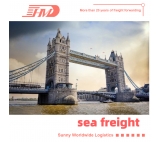 Morski towarowy do brytyjskiego agenta wysyłki w Chinach Sea Shipping Ceves od Shenzhen do Port Felixstowe