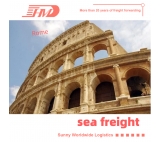 Agent żeglugi morskiej z Chin do Niemiec Drzwi do drzwi Sea Freight do Drzwi Humburg do Dostawy Door