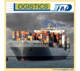 Sea shipping freight door to door  from China to the South Africa