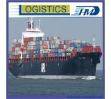 Shenzhen Sea Freight Cargo FCL Door to Door to Oman Salalah